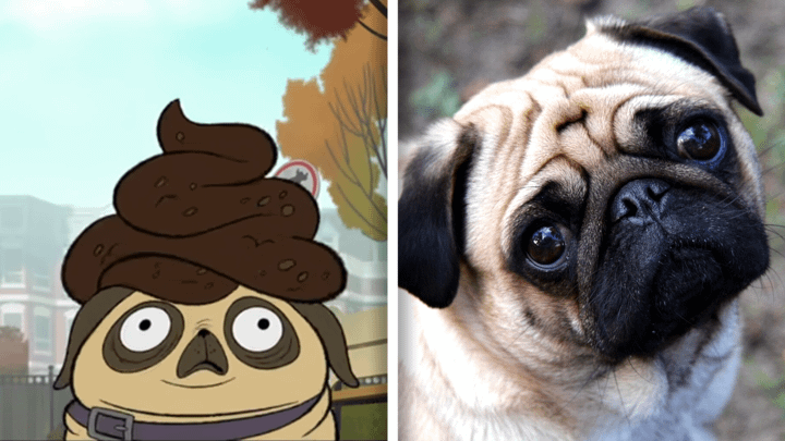 Pug in Fixed and in real life