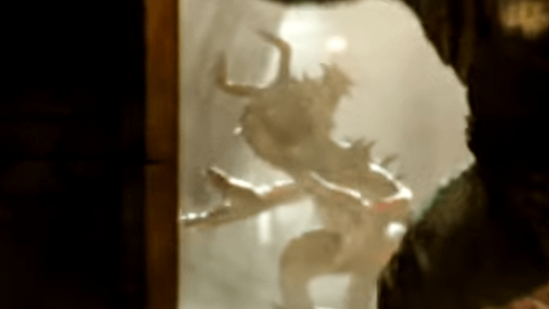 Ng'ok creature with sharp claws.