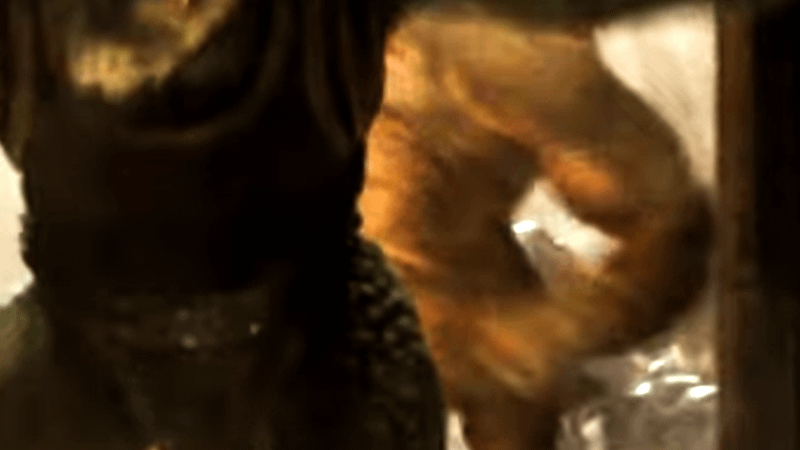 Kintan Strider a classic dejarik creature.