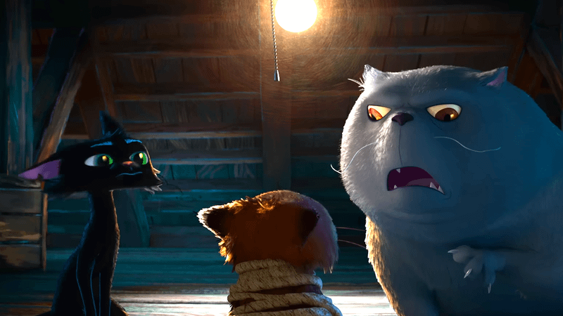 Black cat, light brown cat, and white cat in 'Gatto.'