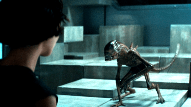 Xenomoprh in Alien: Earth