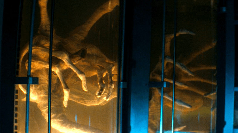 Facehuggers in Alien: Earth