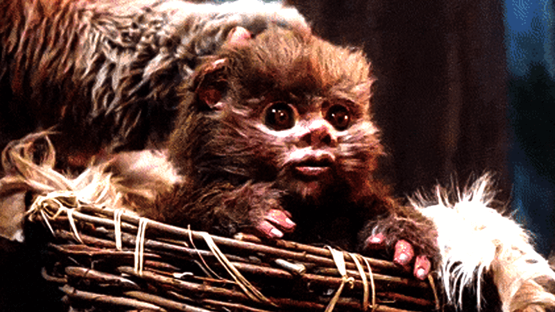 The Baby Ewok from Return of the Jedi.