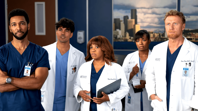 Grey's Anatomy cast.