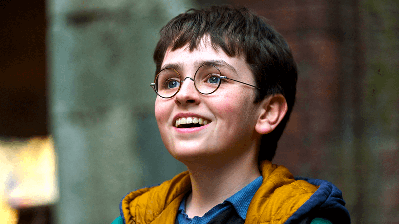 Dominic McLaughlin as Harry Potter.