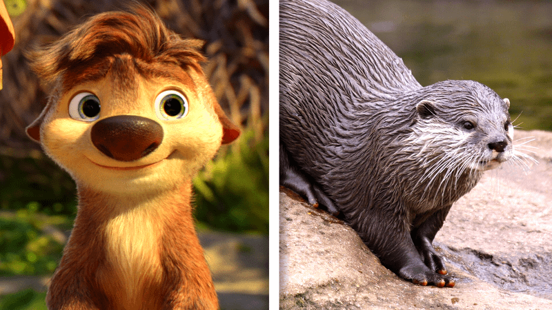 Ollie in Swapped and a real-life Otter.