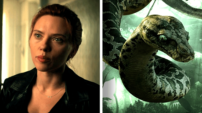 Scarlett Johansson and Kaa.