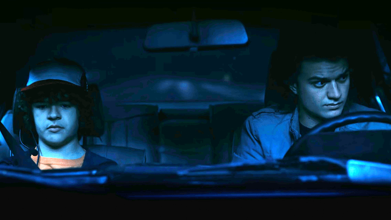 Dustin & Steve in Stranger Things Season 2