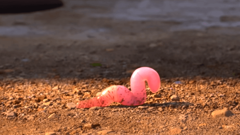 Pink worm featured in Hoppers.