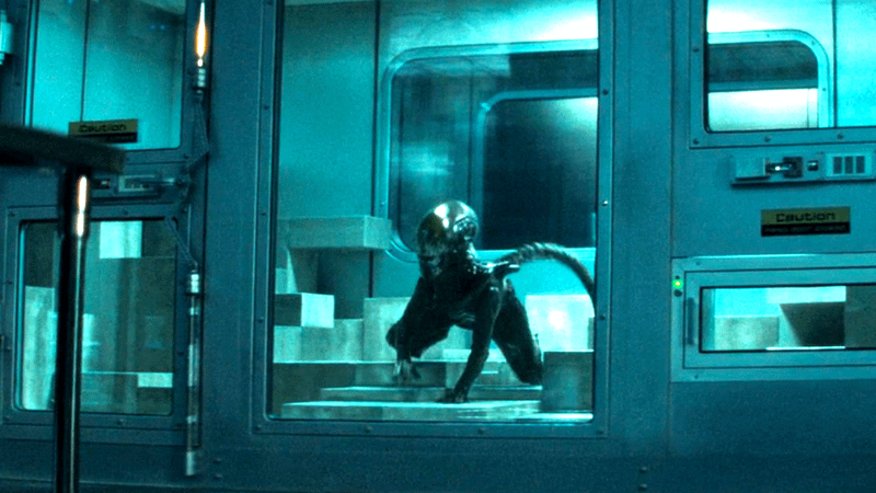 Xenomorph in Alien: Earth