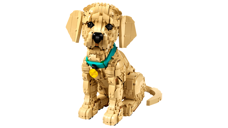 LEGO 11384 Golden Retriever Puppy Sitting