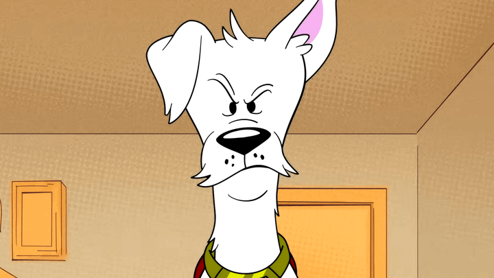 Krypto in the Krypto shorts
