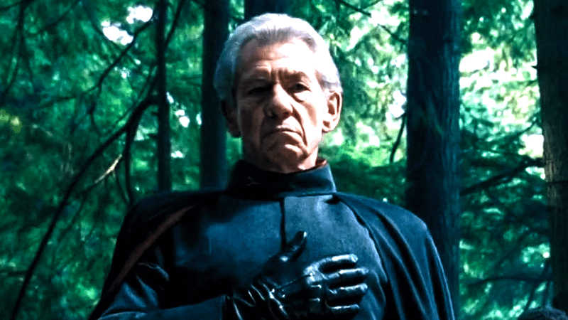 Ian McKellen as Magneto.