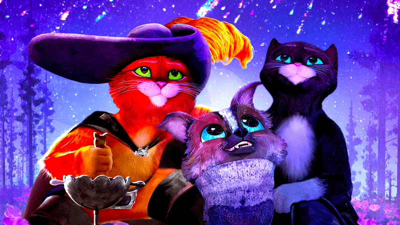 Puss looking up at the sky in Puss in Boots: The Last Wish