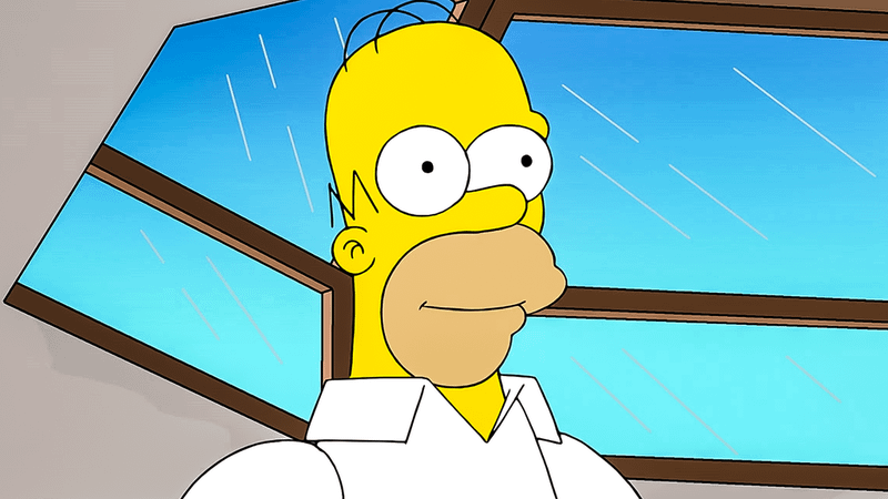 Homer Simpson in The Simpsons.