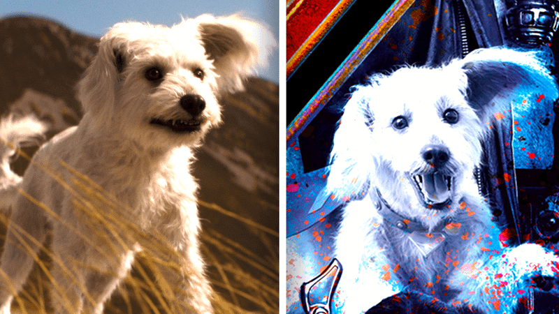 Krypto.