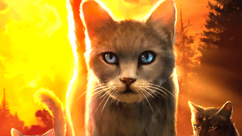 The cover for Star, a Warriors novel.