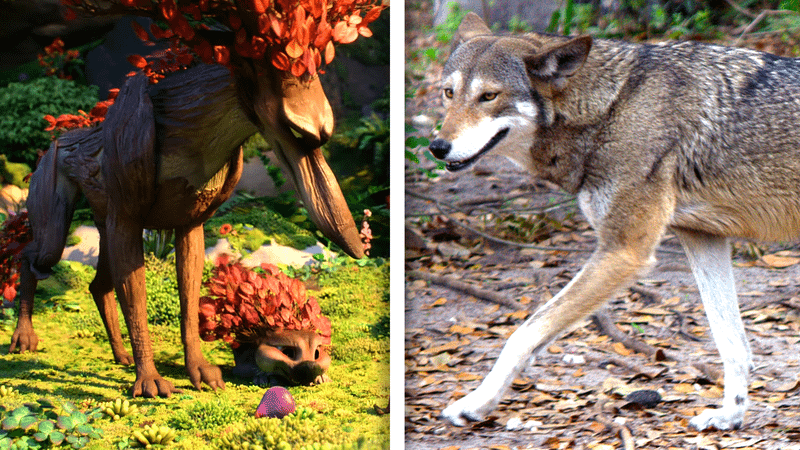 Treewolf and a real wolf.