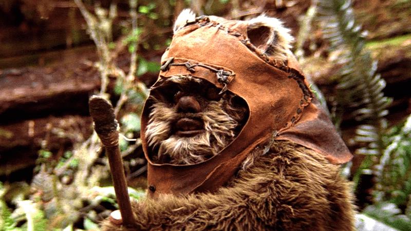 Ewok in Star Wars: Return of the Jedi.