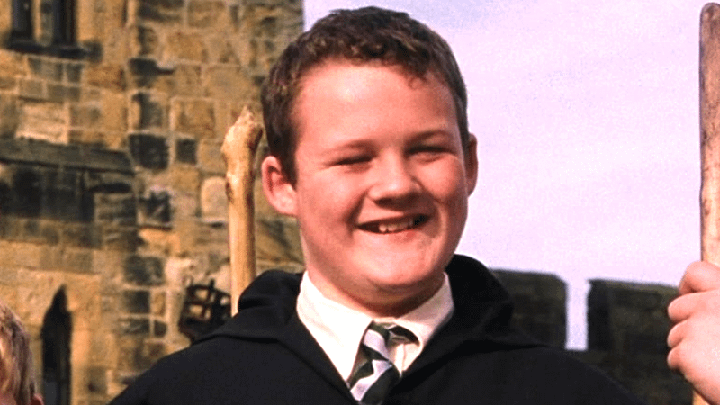 Gregory Goyle, Harry Potter
