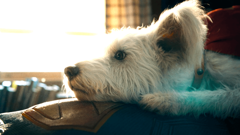 Krypto the Super-Dog in Superman