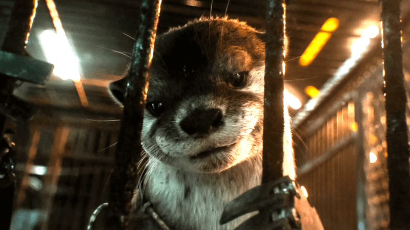 Baby Lylla the Otter in 'Guardians of the Galaxy Vol. 3'.