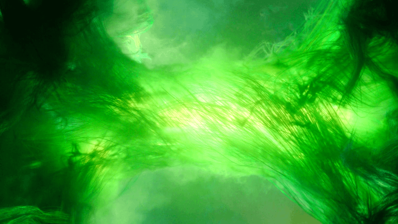 Green timeline branch in Loki TV show.