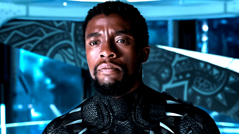 Chadwick Boseman as T'Challa in Black Panther.