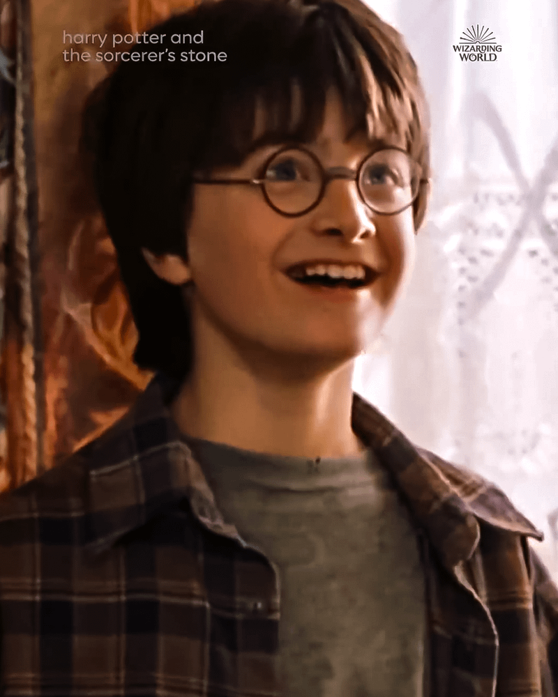 Harry Potter' series shot down by HBO Max, Warner Bros.