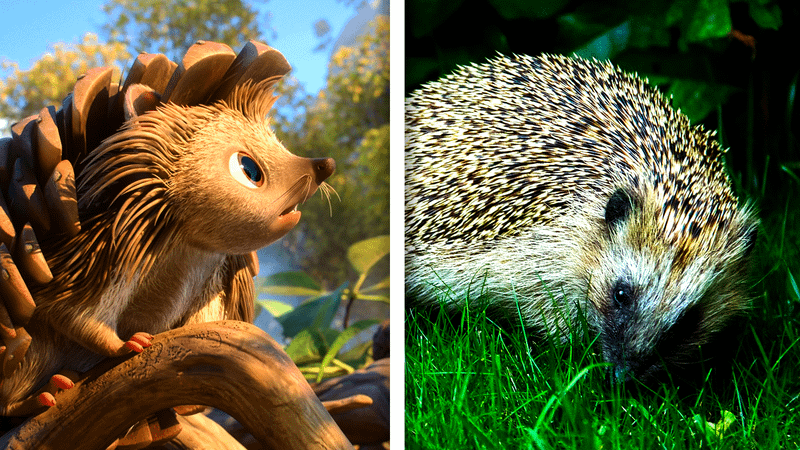 Hedgehog and a real-life Hedgehog.