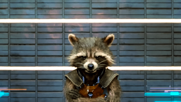 Rocket grimacing and crossing his arms during his mugshot.