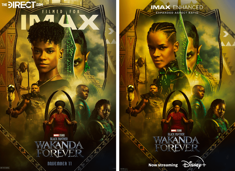Black Panther: Wakanda Forever's poster shows Shuri with and without her costume.