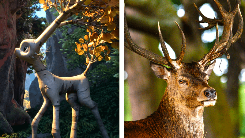 A deer in Swapped and a real-life deer.