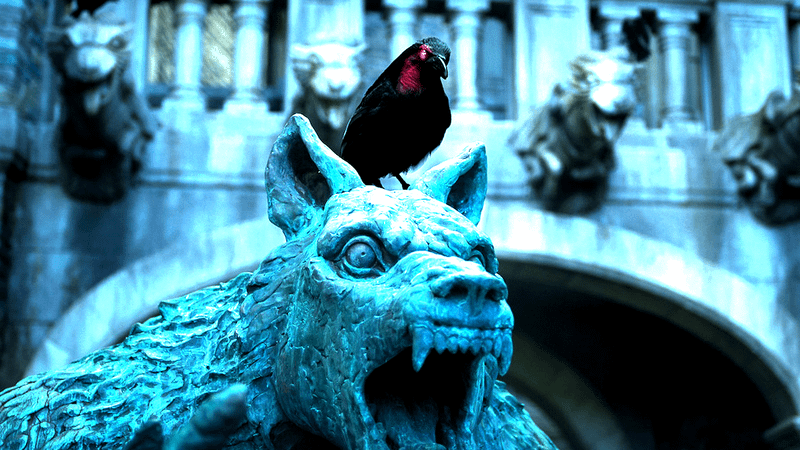 One-eyed crow in Wednesday Season 2