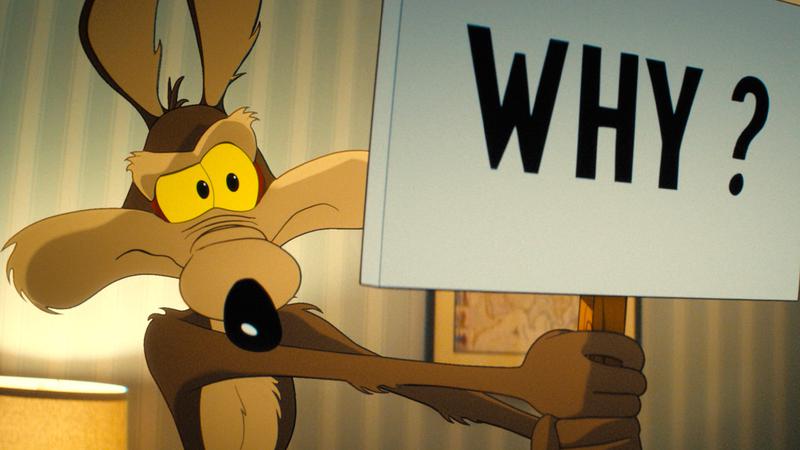 Wile E. Coyote holding up one of his iconic signs that says 'Why?'.