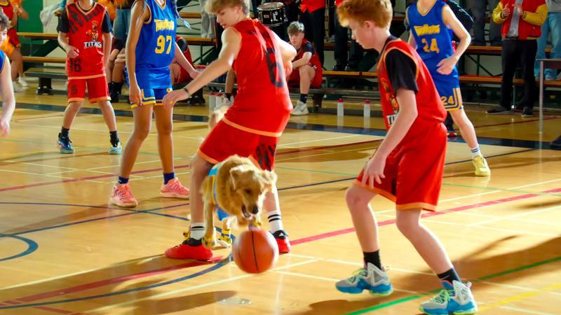 Air Bud playing basketball in Air Bud Returns.