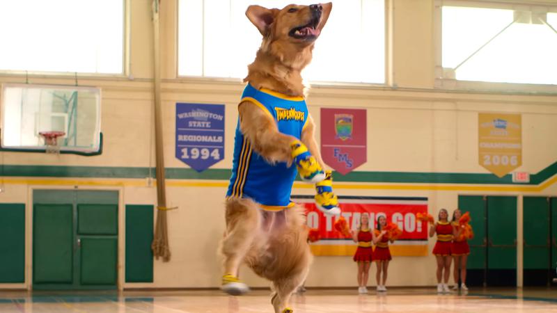 Air Bud jumping in Air Bud Returns.