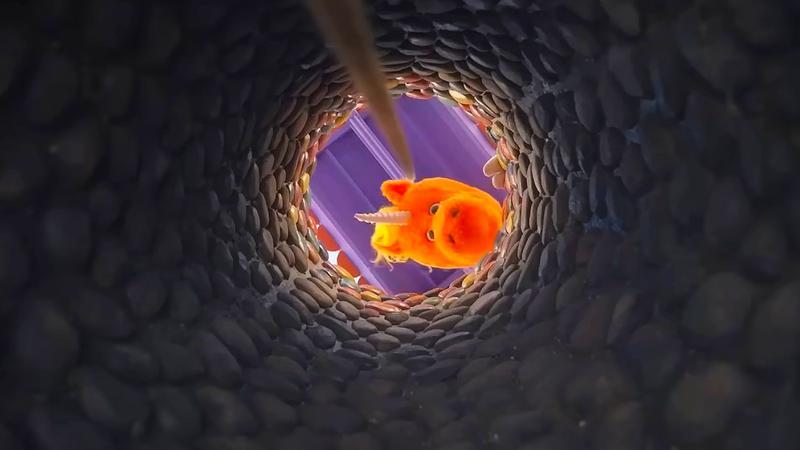 Buddy looking down a well.