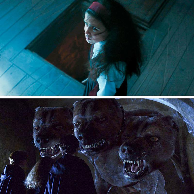Harry Potter and the Philosopher's Stone, show vs. movies, Trap door andFluffy.