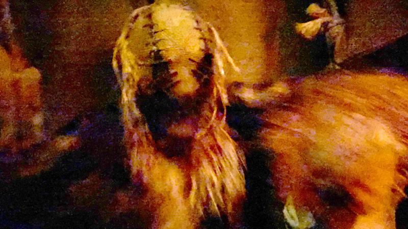Scarecrow maze at HHN