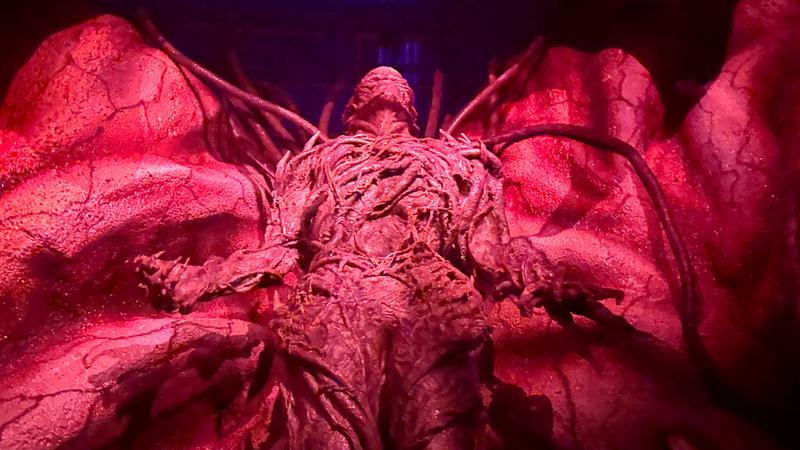 Stranger Things 5 maze at HHN 35.