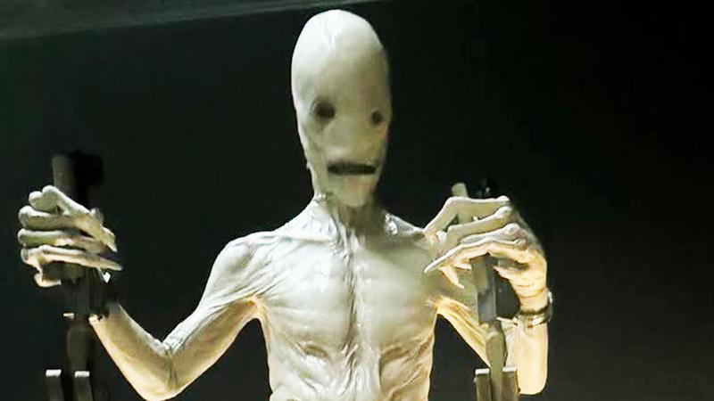 Lex Luthor's grotesque creation, Mr Handsome.