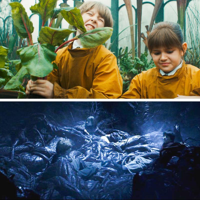 HBO Harry Potter, Neville at Herbology, The Philosopher's Stone Devil's Snare.