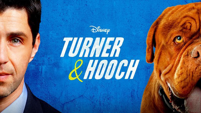 Josh Peck as Scott Turner Jr. next to a dog in Turner & Hooch