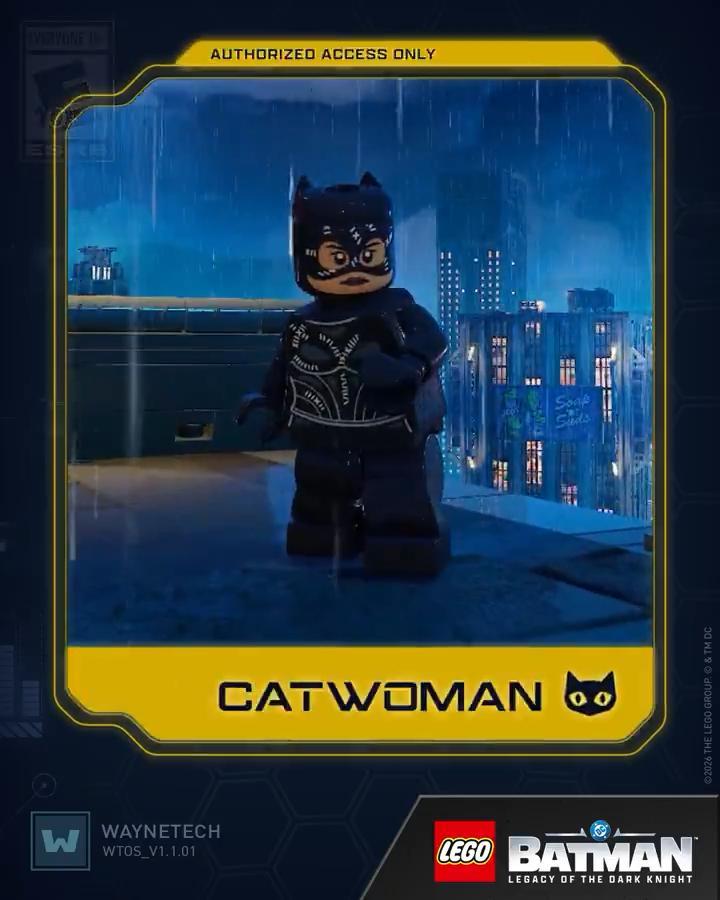 Catwwoman design from the LEGO Batman video game.