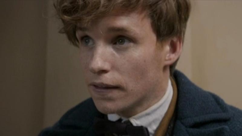 Eddie Redmayne as Newt Scamander in Fantastic Beasts and Where to Find Them