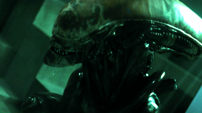 Xenomorph in Alien Earth.