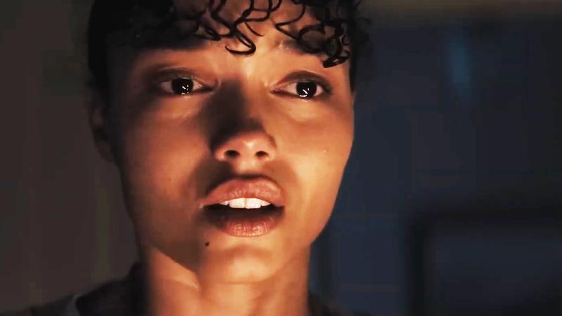 Netflix Shark Movie Thrash.