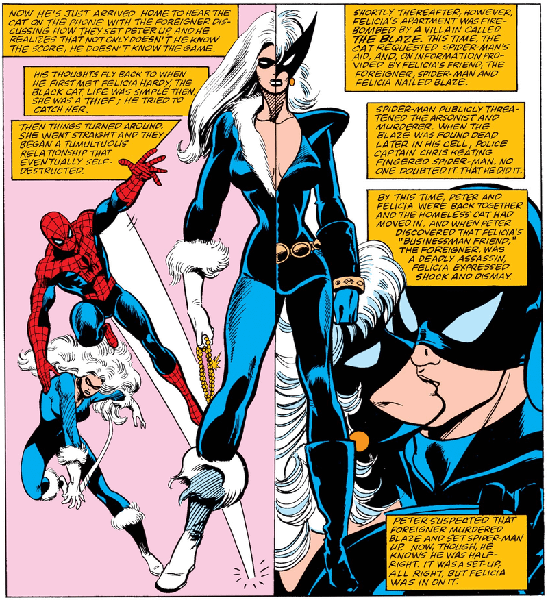 A split view showing the difference between Felicia Hardy's original Black Cat costume and her new one.