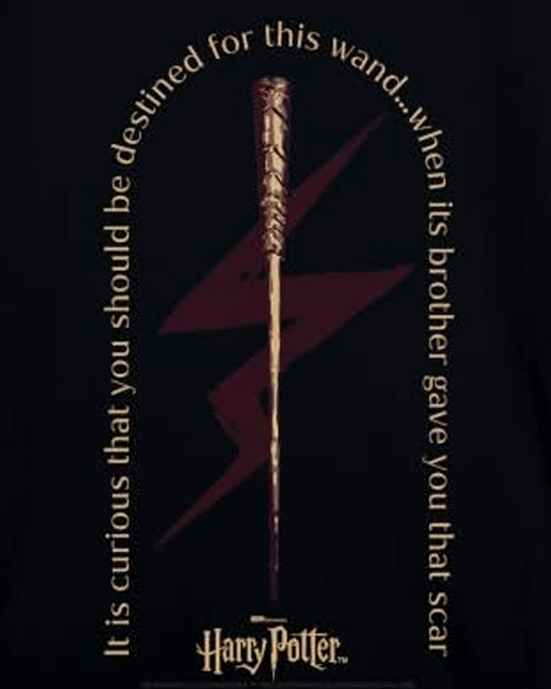 HBO Harry Potter, Olivander wand quote.